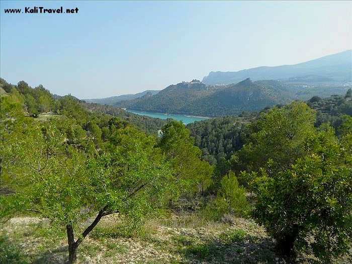 almond_trees_guadalest_valley_alicante_spain