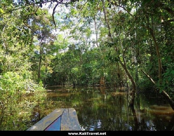 amazons_waterway_queens_lodge_iquitos_peru