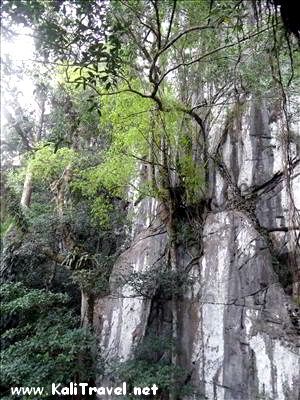 fairy_cave_rockface_outside_sarawak_borneo