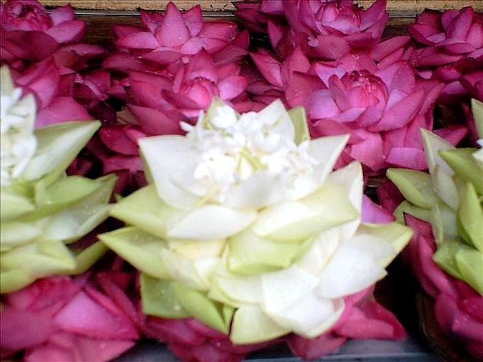 Kandy Sacred Tooth Temple flower offerings.