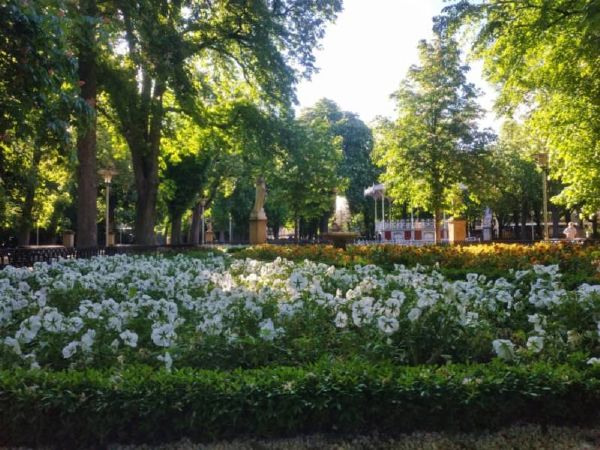 Flowers in the park, Vitoria Gasteiz