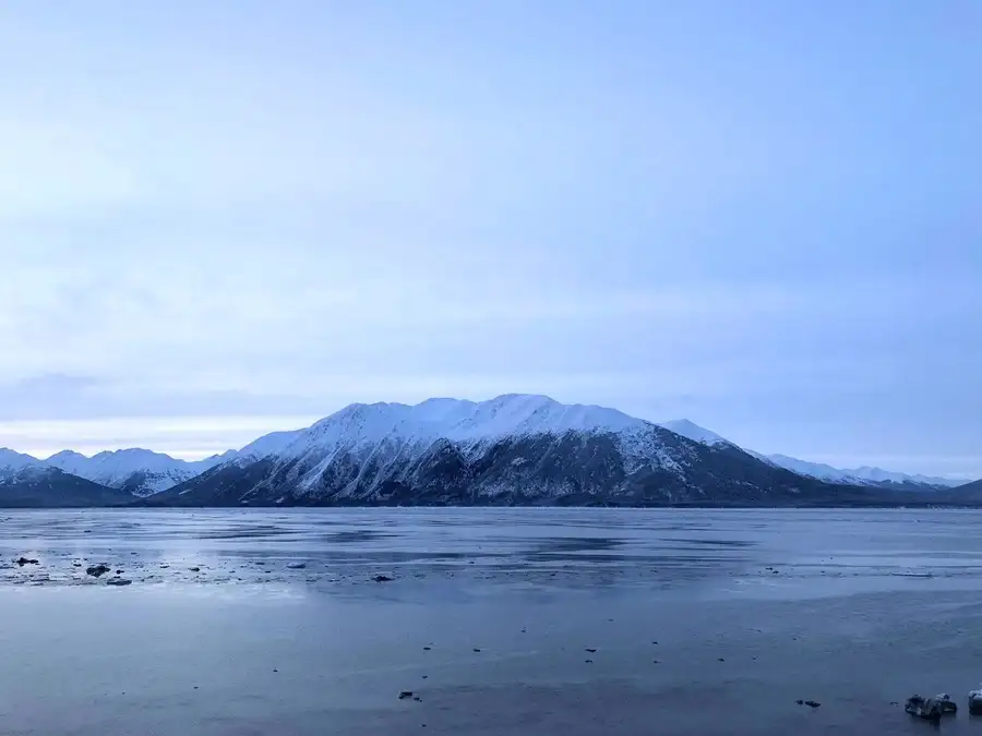Alaskan mudflats in front of a snowcapped mountain.