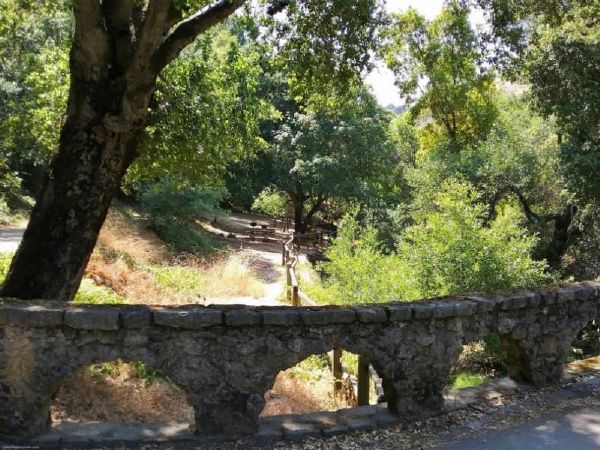 Old stone arch bridge in Alum Rock Park, San Jose.