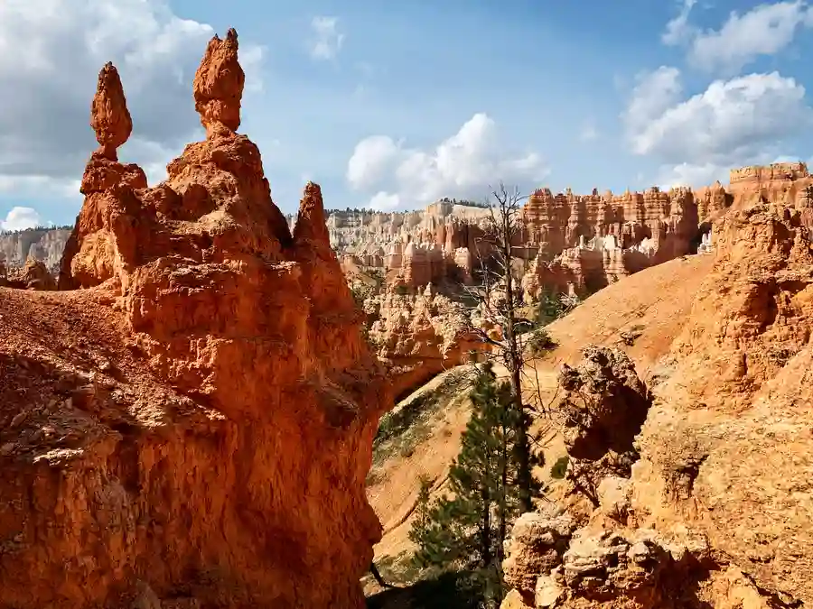 Among Southern Utah's best sites are the hoodoos in Bryce Canyon.