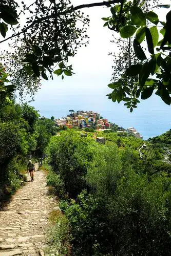 Sentiero Azzurro trail with views to a seaside village.