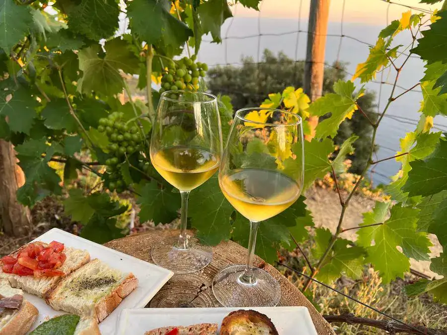 Plate of bread, tomato & pesto and 2 glasses of wine by Cinque Terre vines.