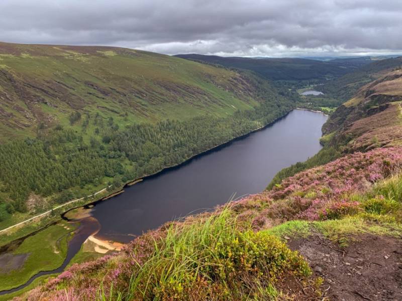 Glendalough upper lake surrounded by heather-clad-countryside, near Dublin.