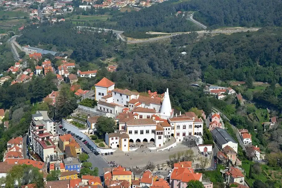 Aerial view of a white palace with towers surrounded by pine forest.