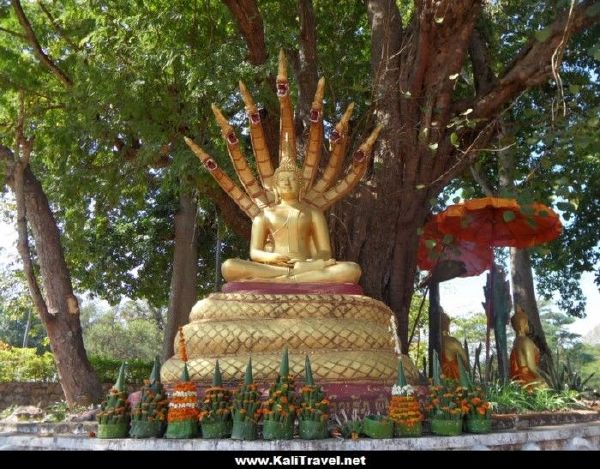 luang-prabang-buddha-image-wat-thatluang-laos