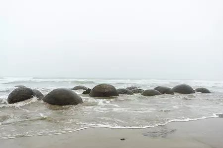 Rounded Moeraki boulders on the misty seashore.