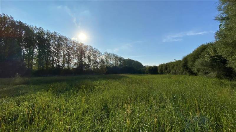 A 'green ring' of countryside surrounds Vitoria Gasteiz