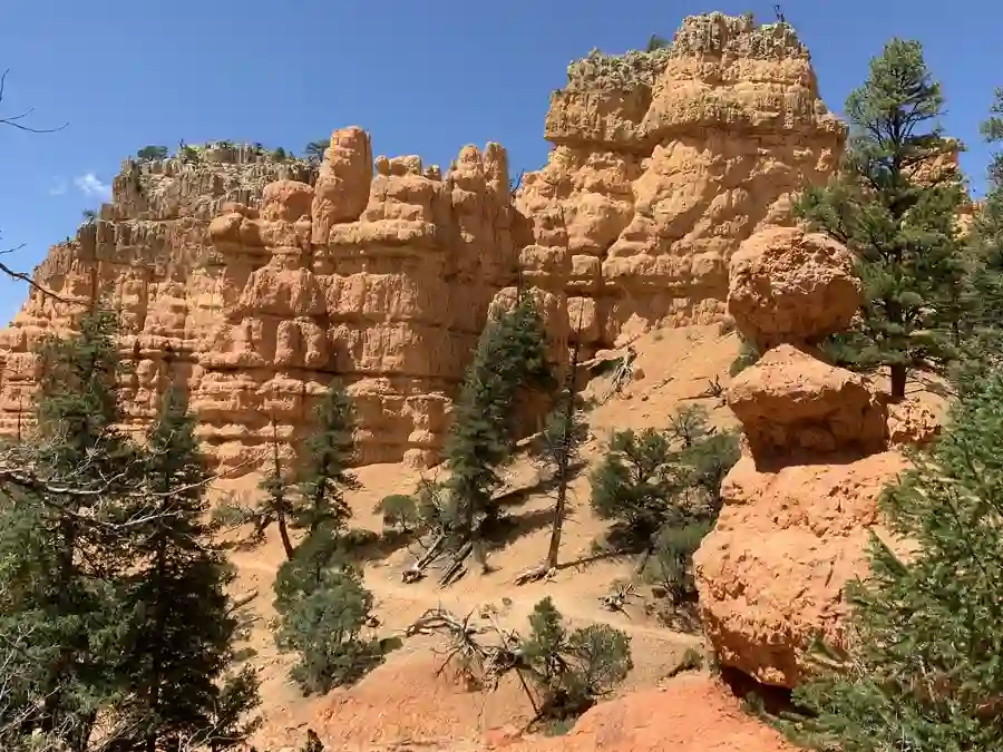 Southern Utah hoodoos, rock formations in Red Canyon.