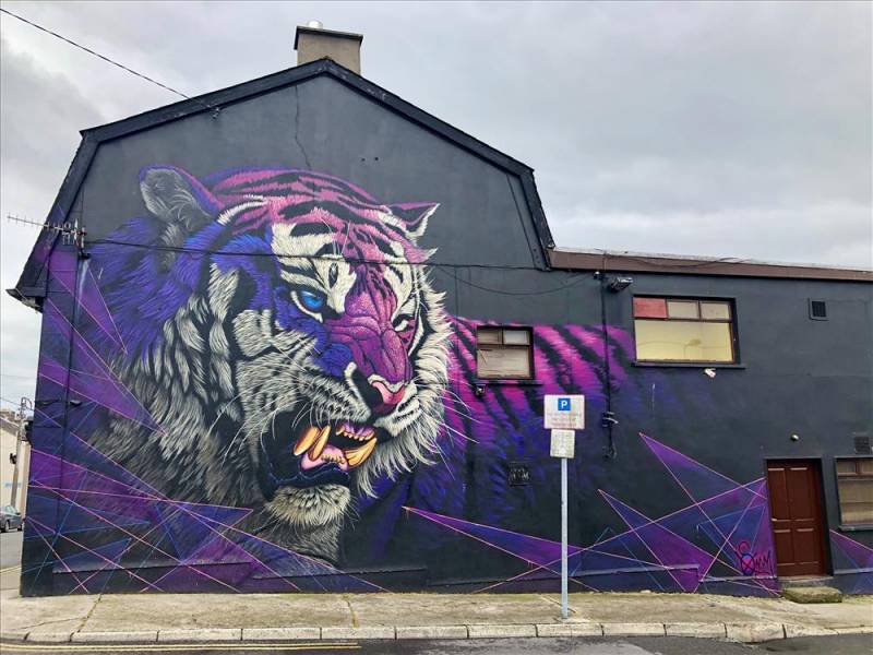 Colourful tiger's head on the wall of a building in Waterford (Irish street art).